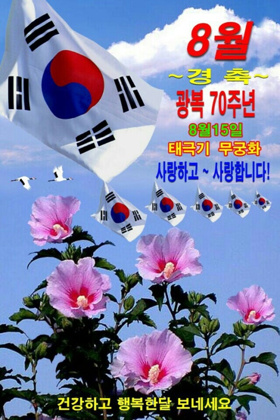 채다 이미지