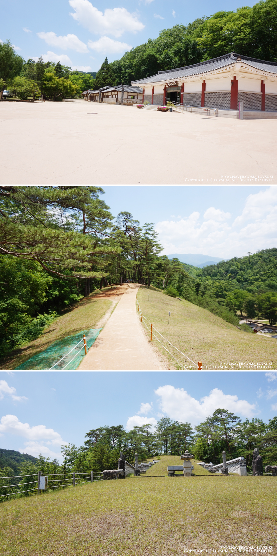 수달레져 이미지
