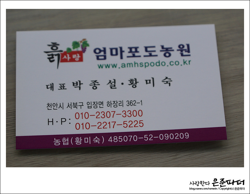엄마사랑농원 이미지