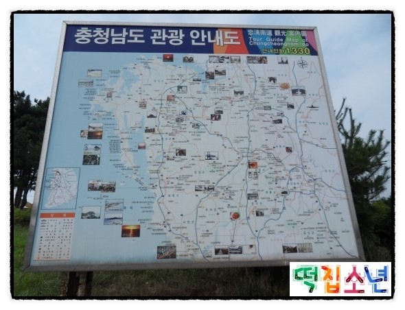 고인돌과소나무협동조합 이미지