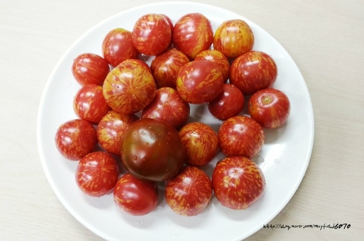 호텔토마토 이미지