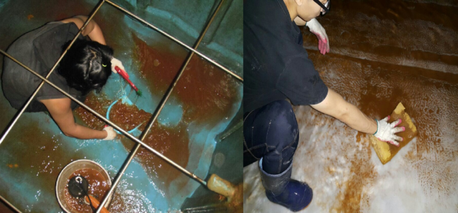 성우이앤씨 이미지