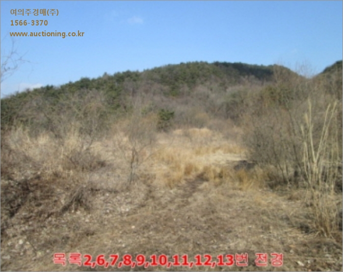 거산주유소 이미지