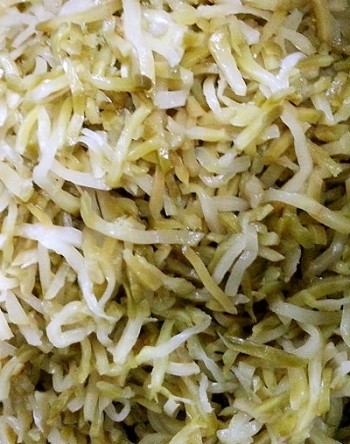 영흥식품(주) 이미지