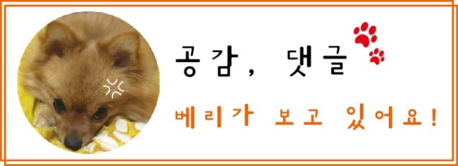 송송팜 이미지