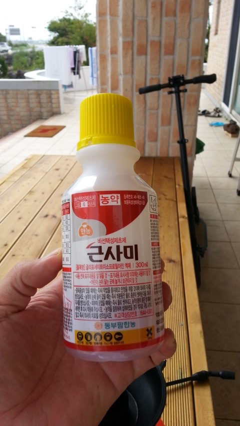 함덕농협하나로주유소 이미지