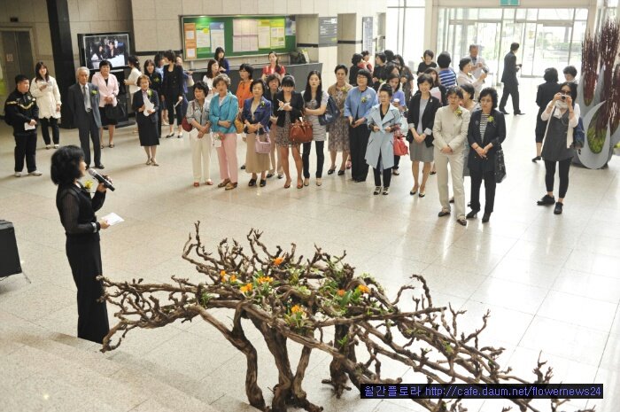 세실플라워 이미지