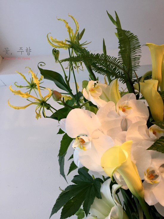 주향미용실 이미지
