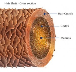 hair봄 이미지