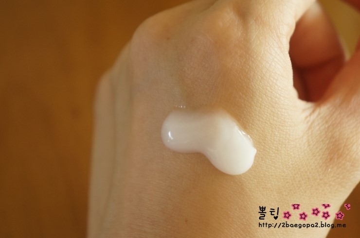블루밍브리즈 이미지