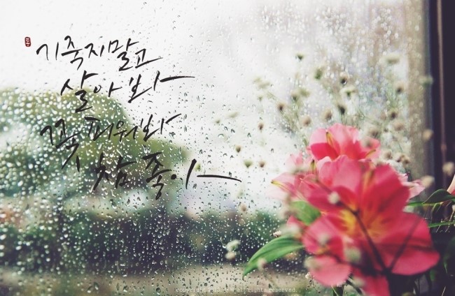단혜 이미지