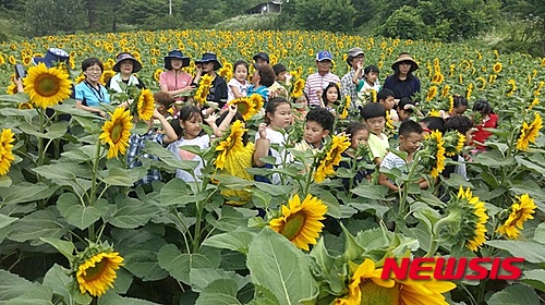 해바라기레스토랑 이미지