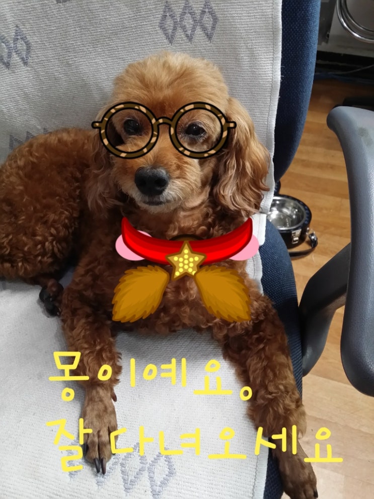 스타엘 이미지