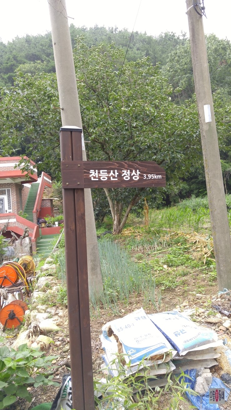 완주꽃배달써비스 이미지