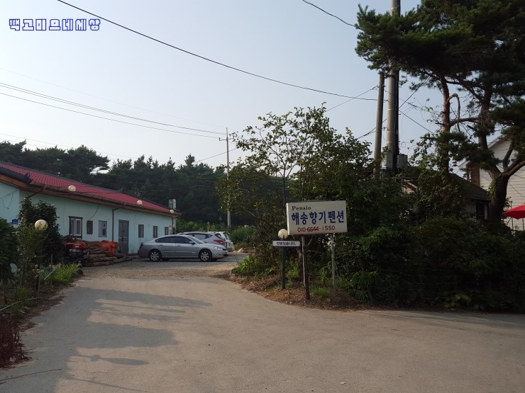 해송향기펜션 이미지