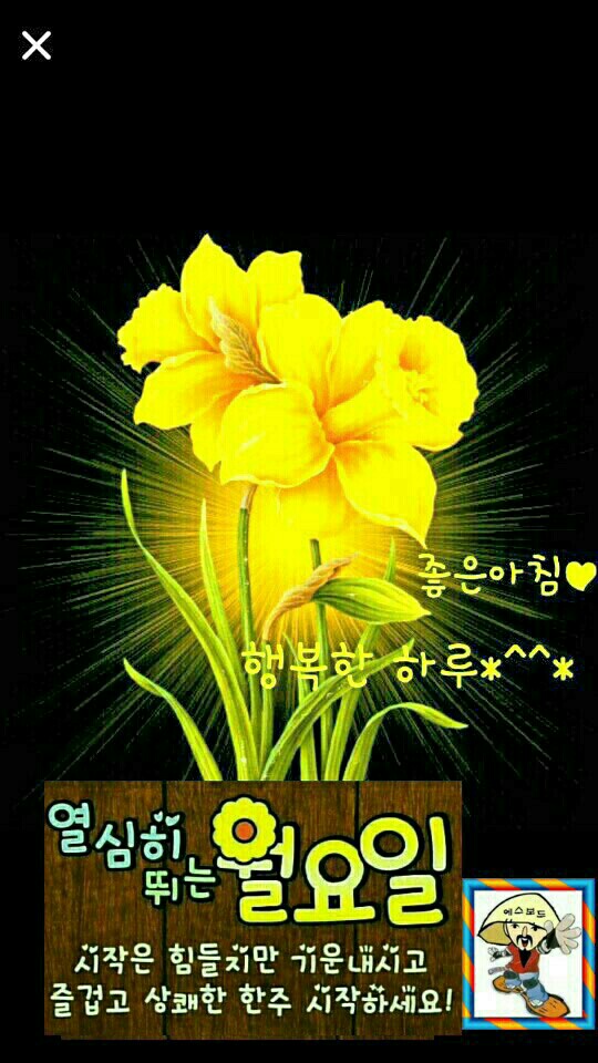 설램 이미지