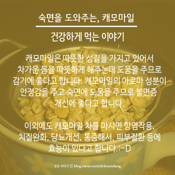 유유아로마 이미지