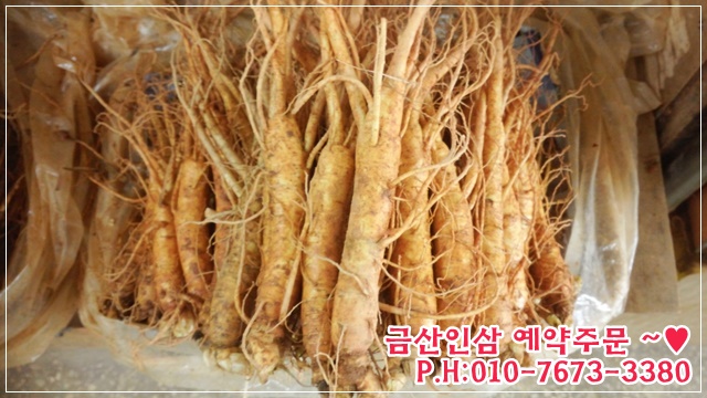 금산인삼 이미지