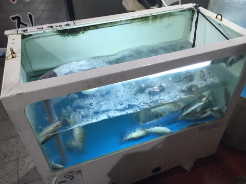 큰마당 횟집 이미지