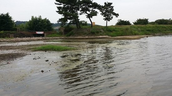 두량횟집 이미지