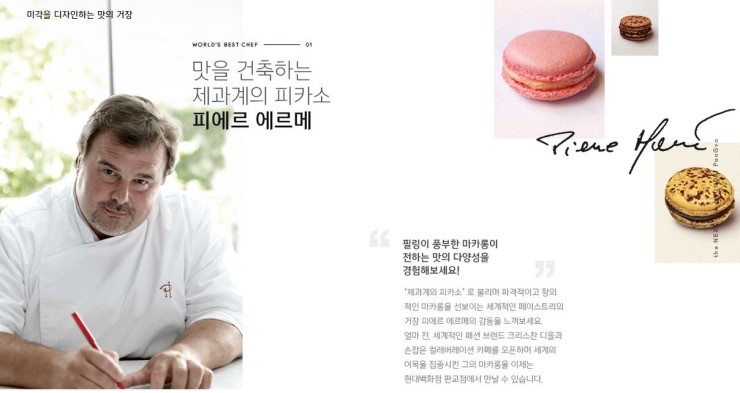 매그놀리아 이미지