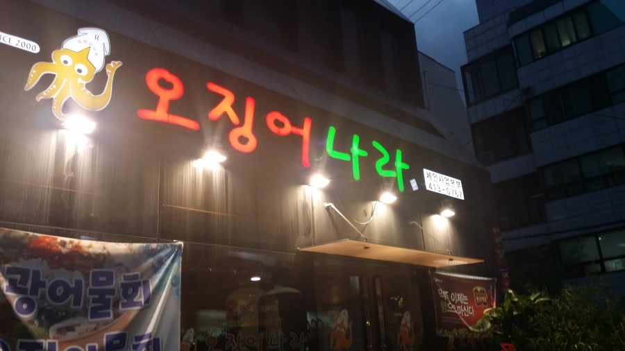 오징어나라 이미지
