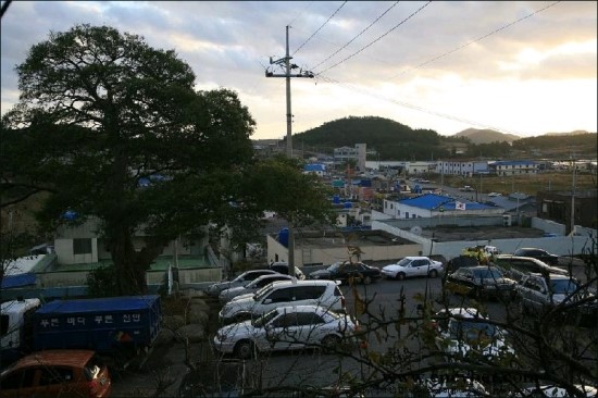 피에스컴퍼니 이미지