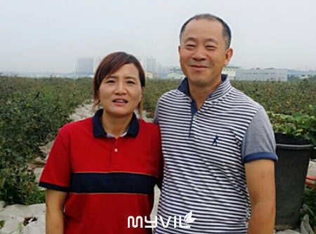 애정아로니아 이미지