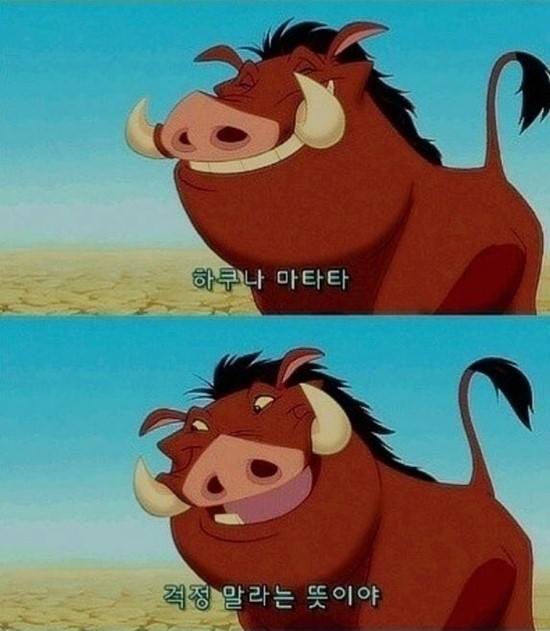 하쿠나마타타 이미지