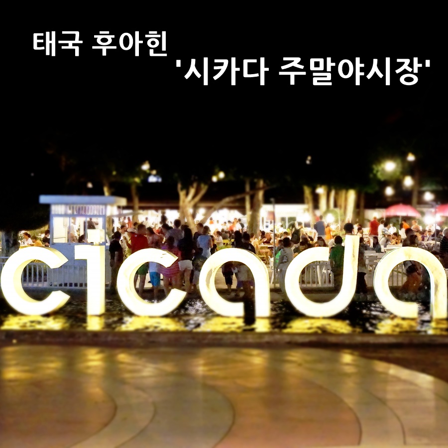 시카다(cicada) 이미지
