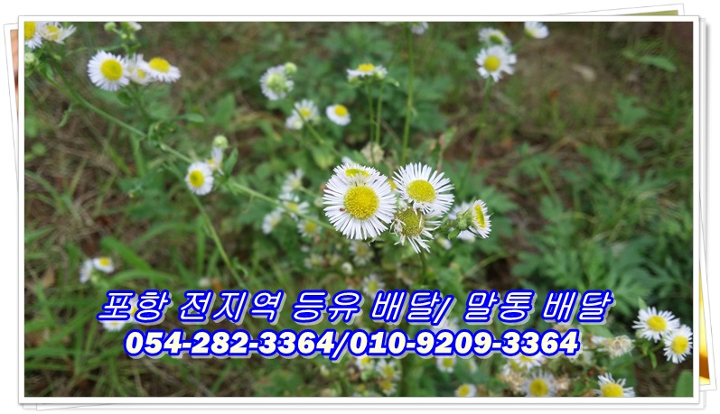 태경주유소 이미지