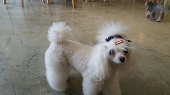 꼴깍 이미지