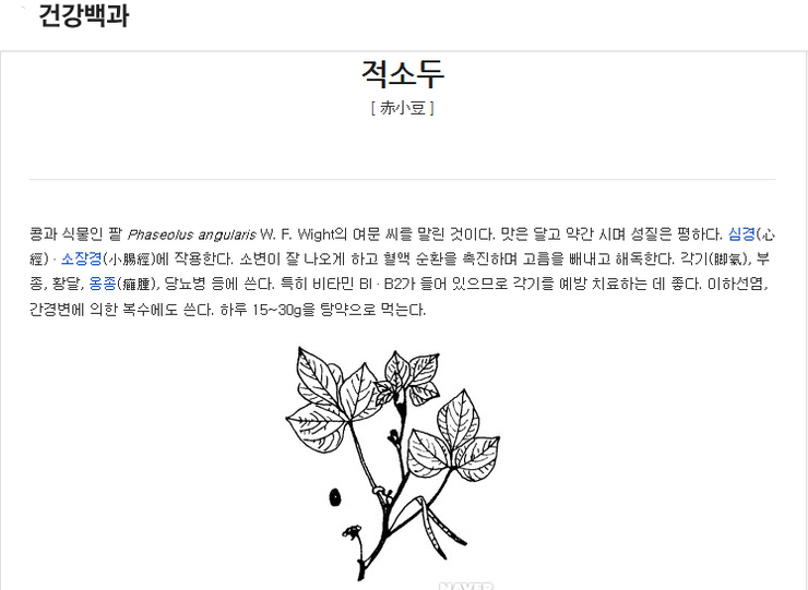다원식품 이미지