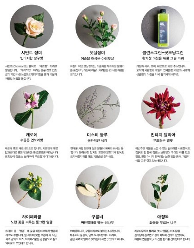 원모먼트 이미지