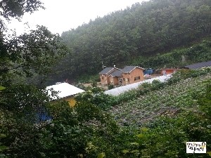 약초를사랑한짱아줌마 이미지