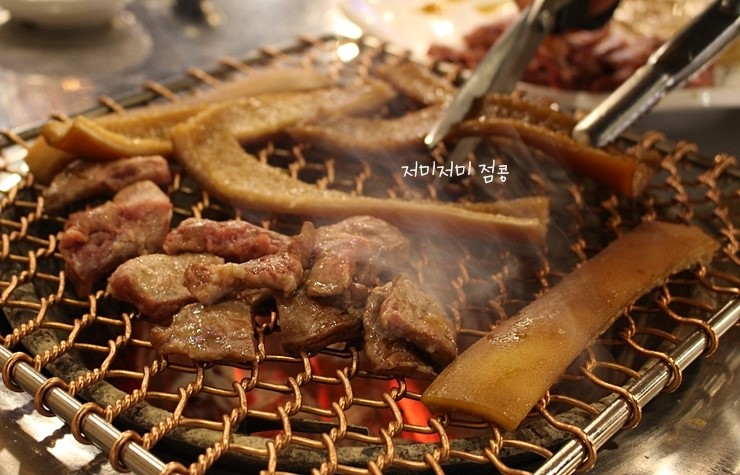 꽃돼지갈매기 이미지