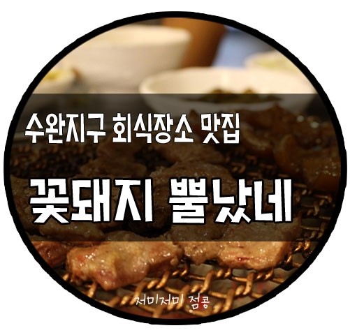꽃돼지갈매기 이미지