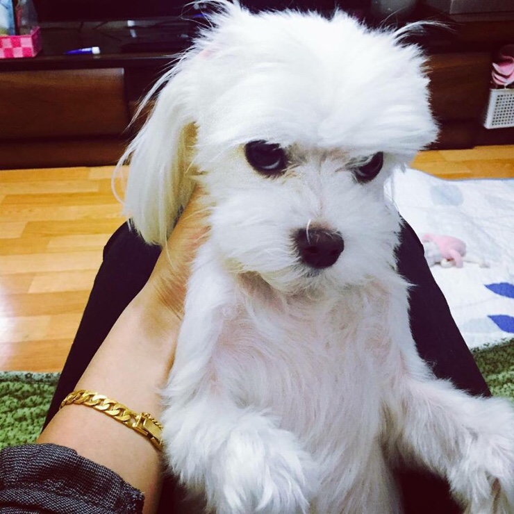 길손농원 이미지