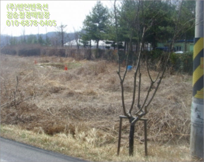 삼부리 이미지