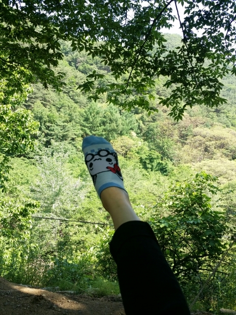 전과돼지찌개 이미지