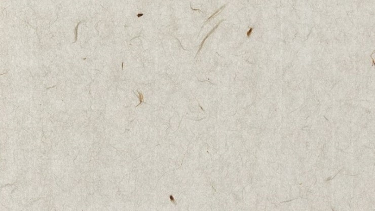 TEXTURE(텍스쳐) 이미지