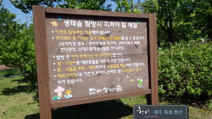 한비숲 이미지