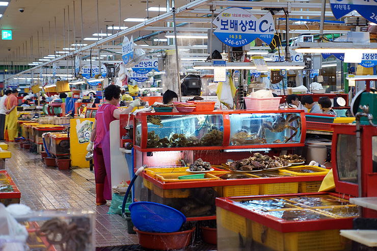 보배상회 이미지