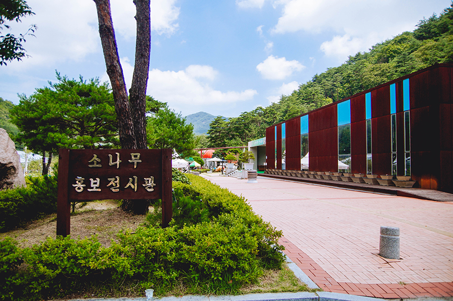 보은바이크 이미지