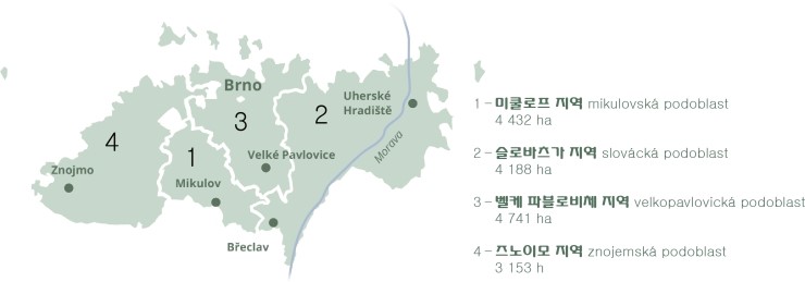 모라비아와인 이미지