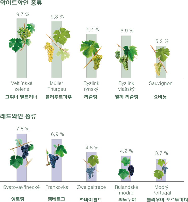 모라비아와인 이미지