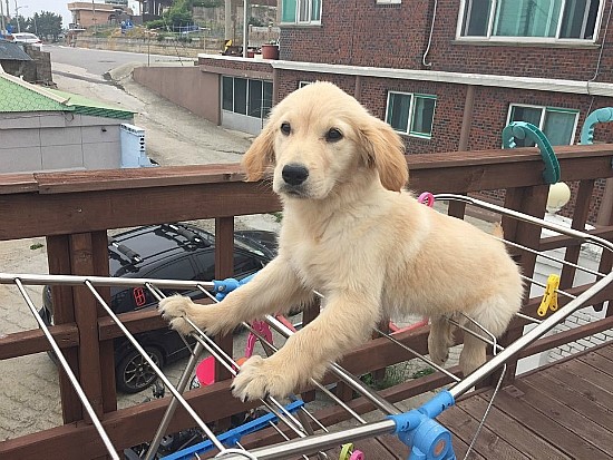 서프팩토리 이미지