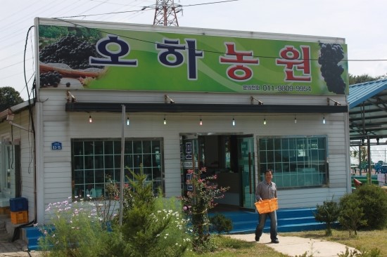 오하포도농원 이미지