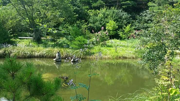 꽃내라팜 이미지