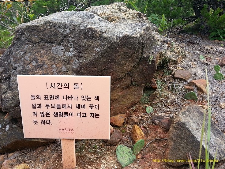 월드조각 이미지